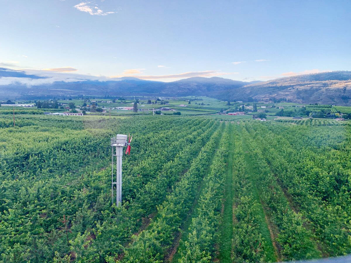 Orchards across the Okanagan Valley